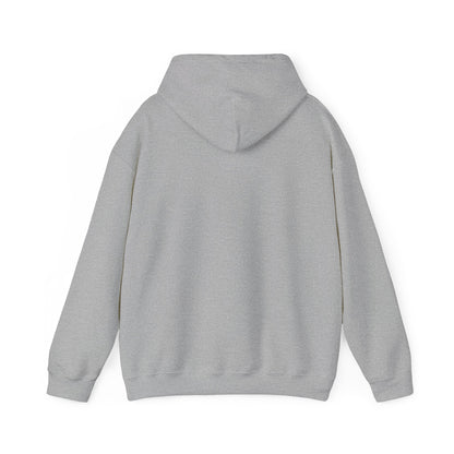 I BRING THE HEAT...HVAC Expert-Unisex Heavy Blend™ Hooded Sweatshirt