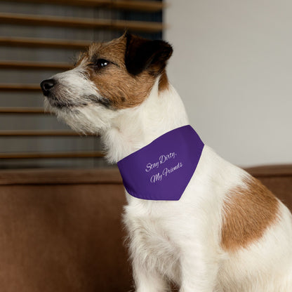 Stay Dirty, My Friends! Purple Pet Bandana Collar