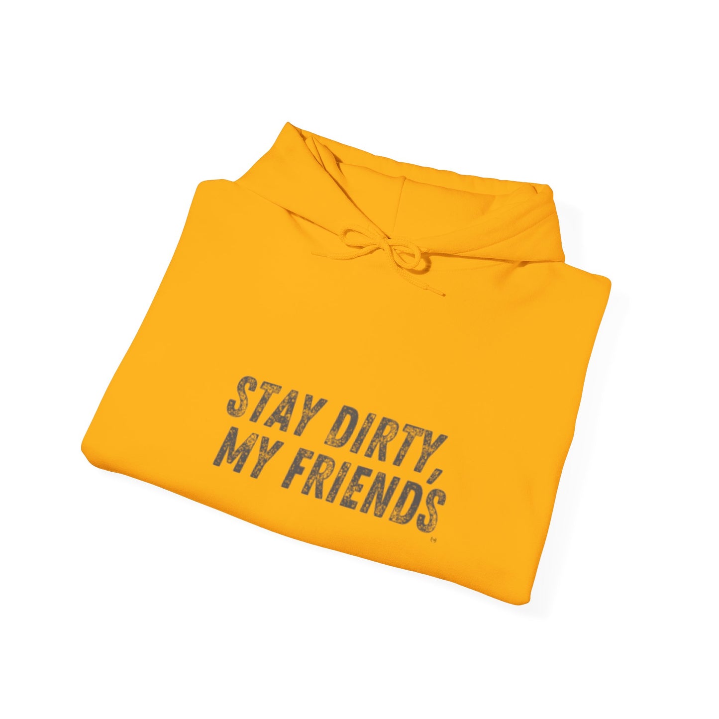 STAY DIRTY, MY FRIENDS...LEARN A TRADE Unisex Heavy Blend™ Hooded Sweatshirt