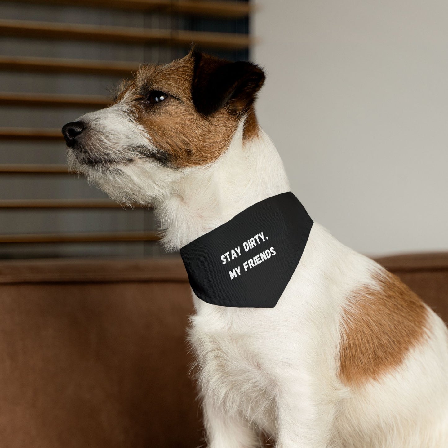 Stay Dirty, My Friends! Black Pet Bandana Collar