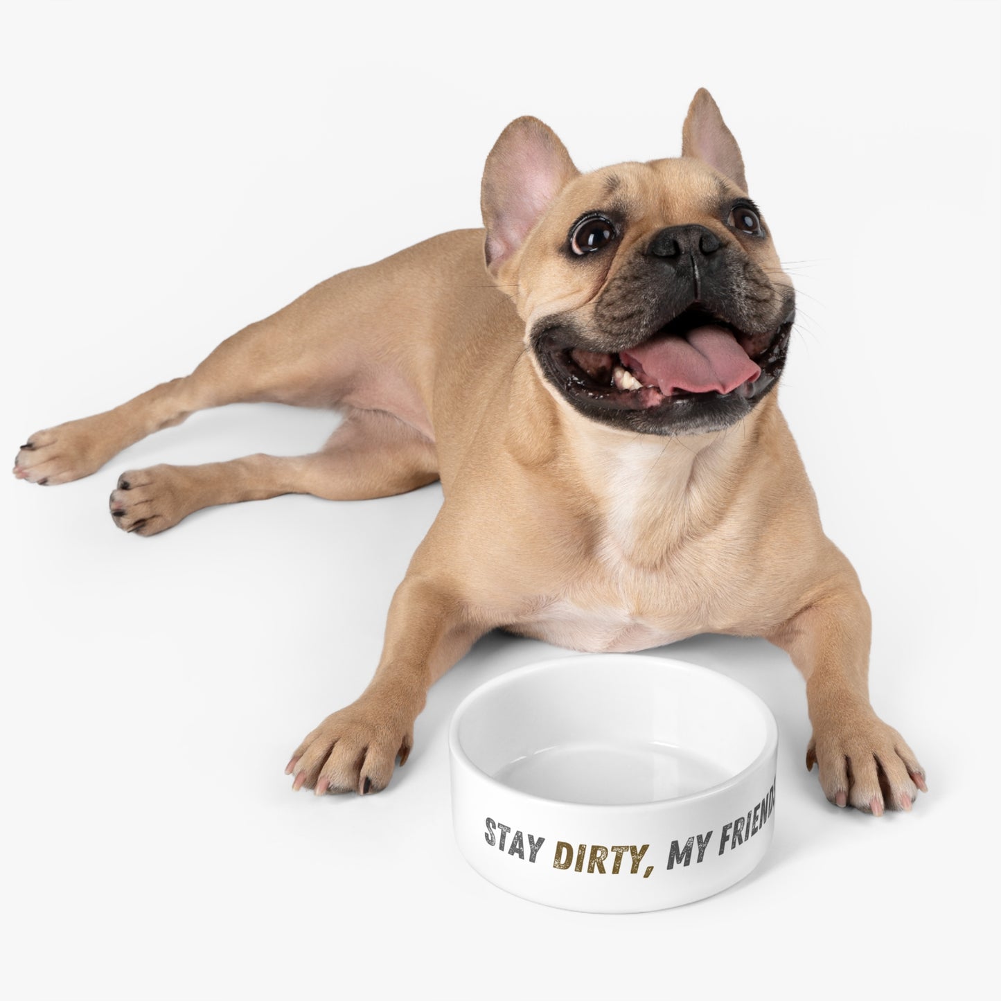 Stay Dirty, My Friends Pet Bowl