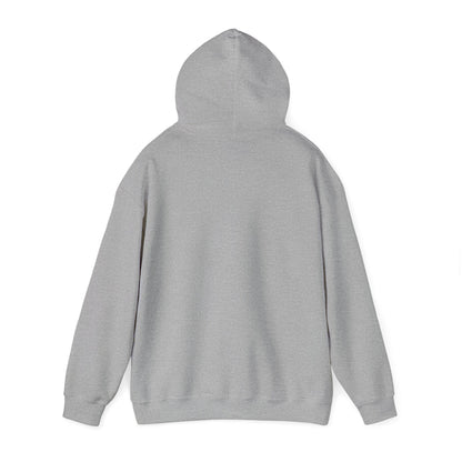 I BRING THE HEAT...HVAC Expert-Unisex Heavy Blend™ Hooded Sweatshirt