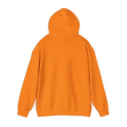 I BRING THE HEAT...HVAC Expert-Unisex Heavy Blend™ Hooded Sweatshirt