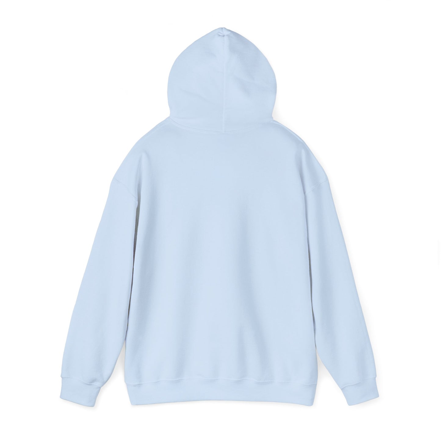 I BRING THE HEAT...HVAC Expert-Unisex Heavy Blend™ Hooded Sweatshirt